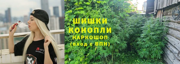 Альфа ПВП Карталы